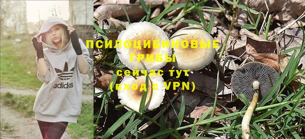 кокаин колумбия Алзамай