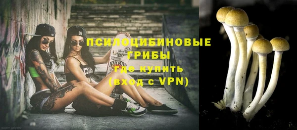 гидра Галич